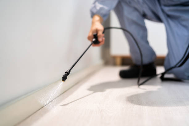 Licensed Pest Control service in Chevy Chase Village, MD - Show Me Pest Control