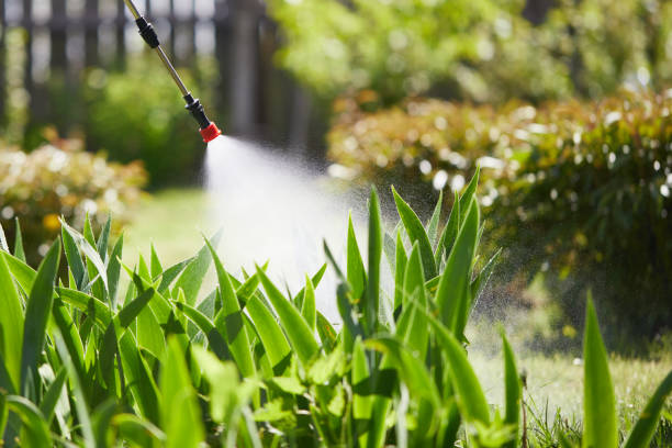 Tamper-Resistant Bait Stations for Rodents in Chevy Chase Village