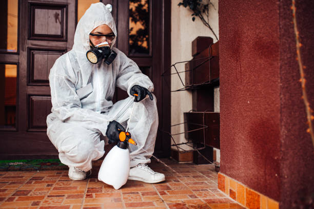 Attic and Crawl Space Rodent Treatment in Chevy Chase Village
