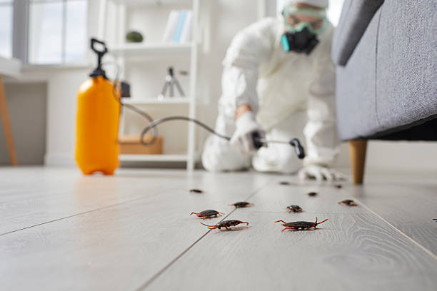 Commercial Rodent Management in Chevy Chase Village
